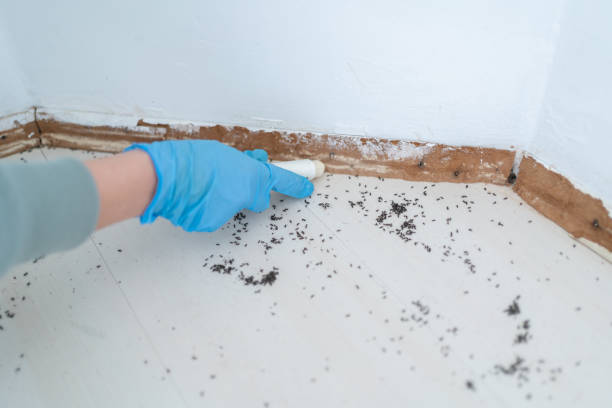 Real Estate Pest Inspections in Marysville, KS